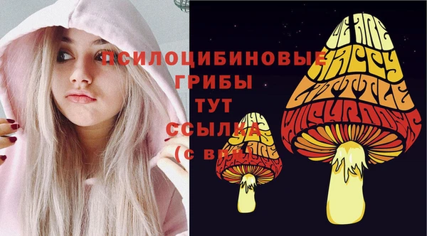 бошки Медвежьегорск
