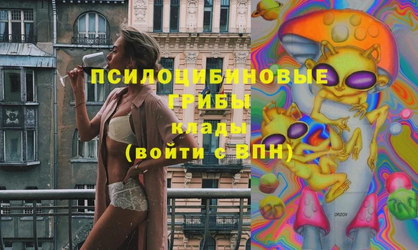 герыч Медногорск