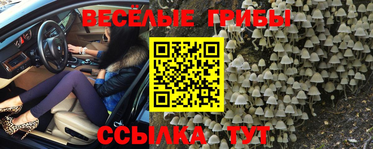 Псилоцибиновые грибы мицелий  Галлюциногенные грибы прущие грибы  Вход с VPN  Каменск-Уральский 